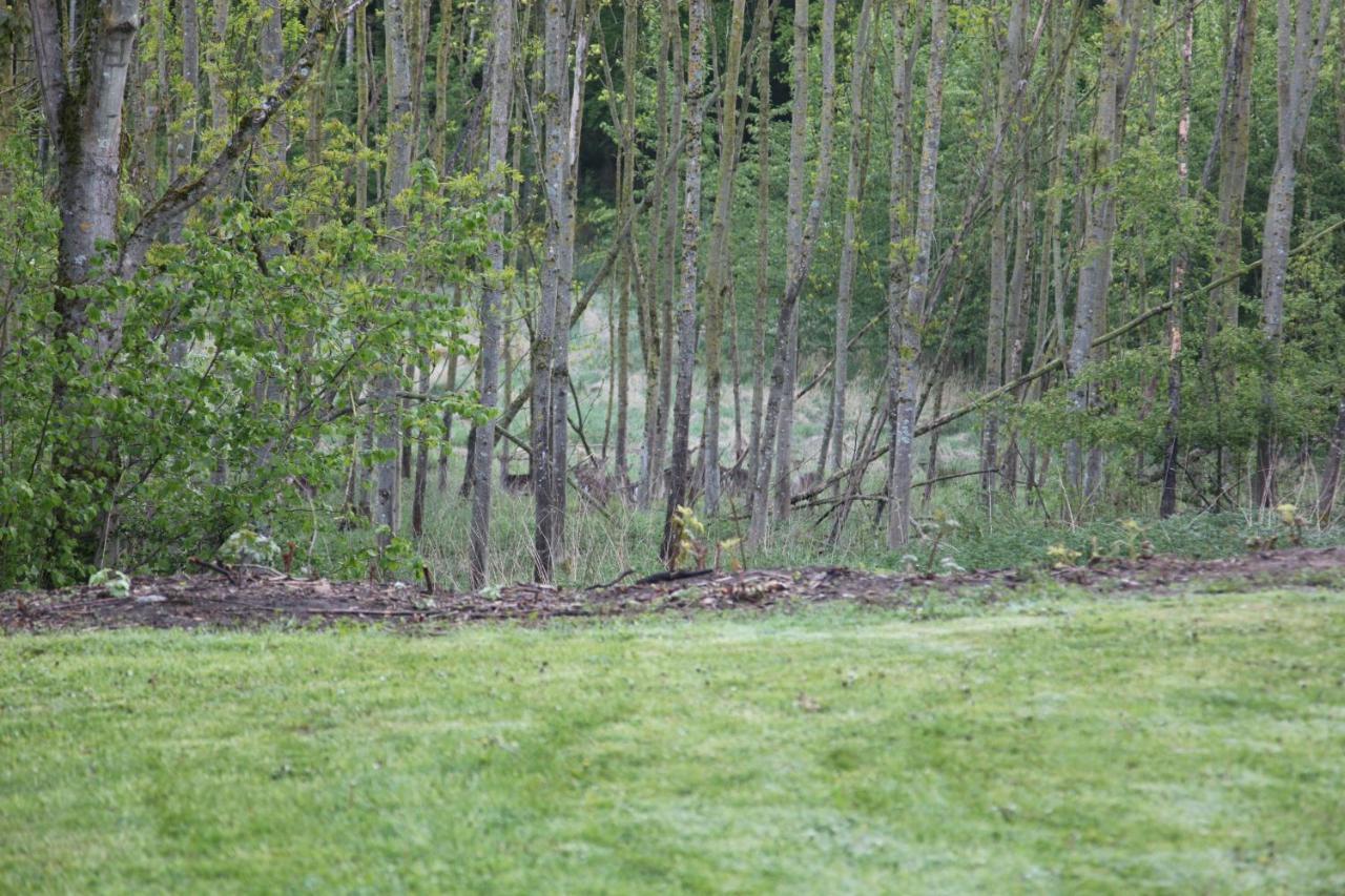 Chalet Forsthof Everstorf Grevesmuehlen Extérieur photo